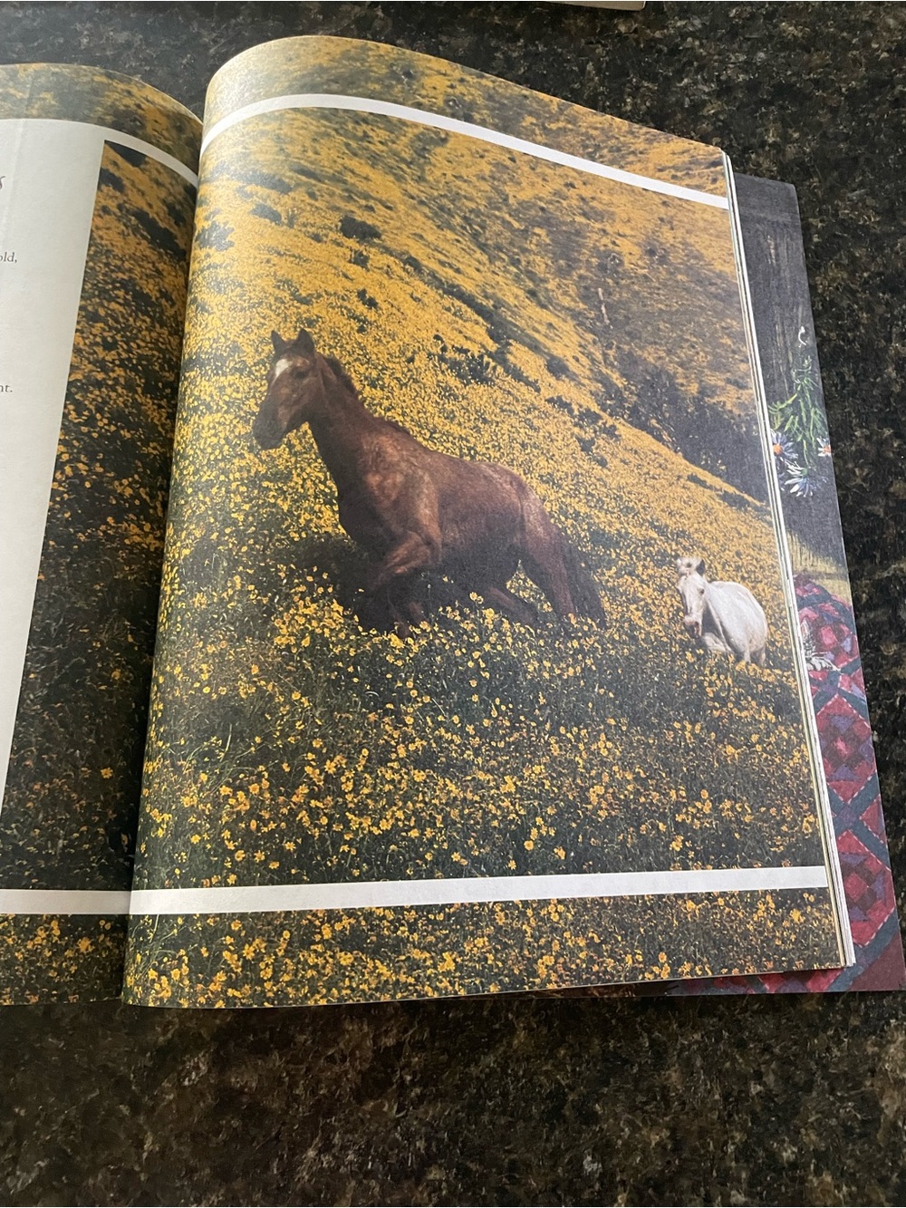 ideals Magazines - Picture 7 of 15